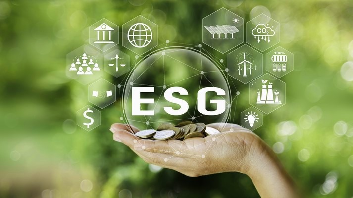 Investing from ESG perspective